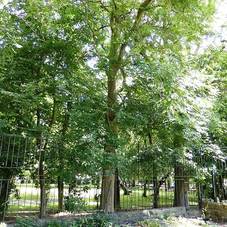 Old Vicarage Hotell 2*