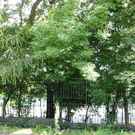 酒店 Old Vicarage 2*