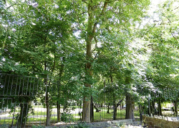 Old Vicarage Готель 2*