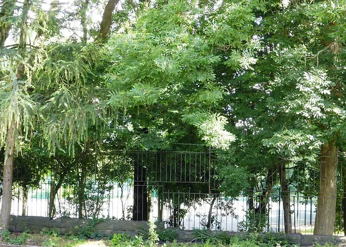 Отель Old Vicarage 2*